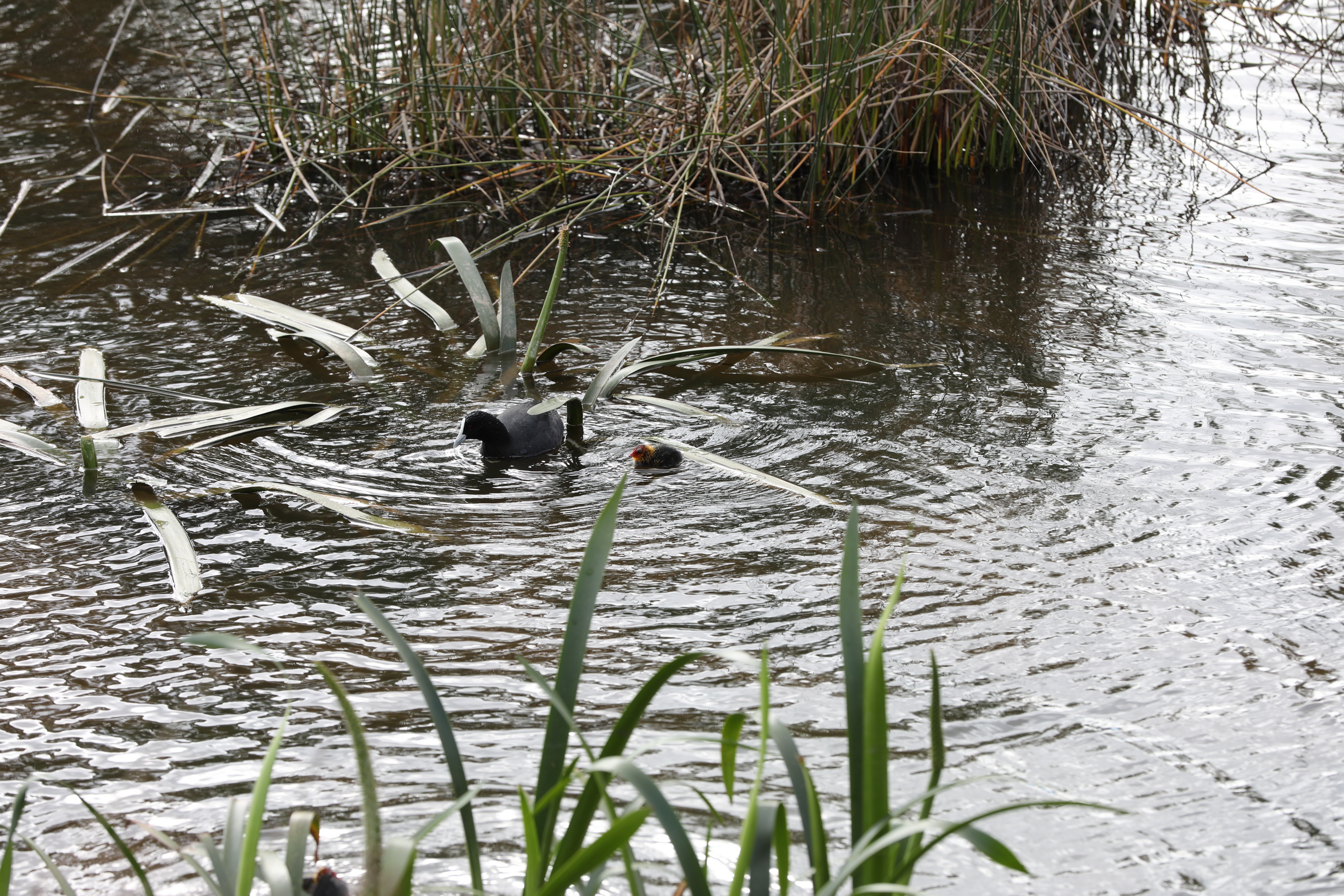 2019 08 25 14 55 18 Canon EOS 5D Mark IV 0002